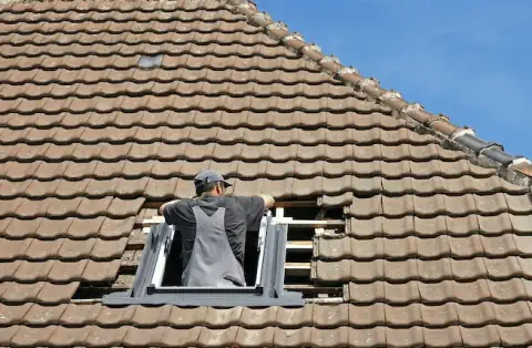 Pose de velux - Trept